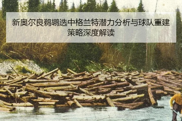 xin-ao-er-liang-ti-hu-xuan-zhong-ge-lan-te-qian-li-fen-xi-yu-qiu-dui-chong-jian-ce-lve-shen-du-jie-du-2-522.jpg