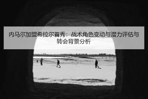 nei-ma-er-jia-meng-xi-la-er-shou-xiu-zhan-shu-jue-se-bian-dong-yu-qian-li-ping-gu-yu-zhuan-hui-bei-jing-fen-xi-2-525.jpg