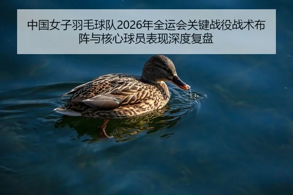 中国女子羽毛球队2026年全运会关键战役战术布阵与核心球员表现深度复盘
