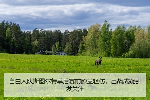 zi-you-ren-dui-si-tu-er-te-ji-hou-sai-qian-xi-gai-qing-shang-chu-zhan-cheng-yi-yin-fa-guan-zhu-2-792.jpg